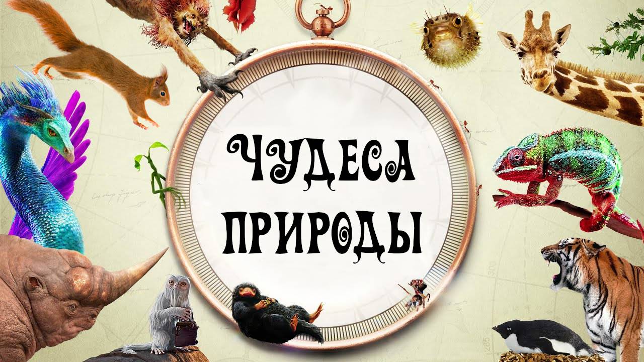 Чудеса природы смотреть онлайн