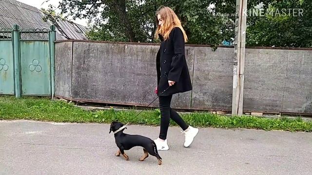 #досугдлямолодежи. Бородянська ОТГ: Литвин Юлія та Сабіна Катерина