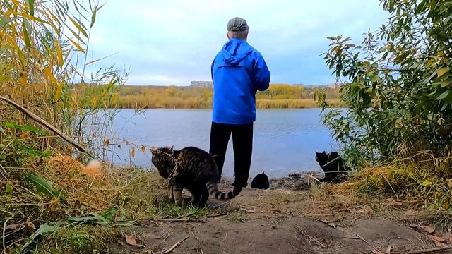 Славянск. 25 октября 2024г. Вечер. Извините за долгое видео)) смотреть онлайн