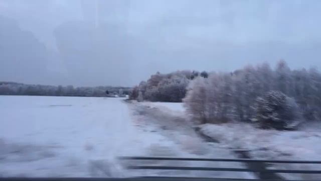 days in Saint Petersburg Russia / Санкт Петербург/Travel vlog смотреть онлайн