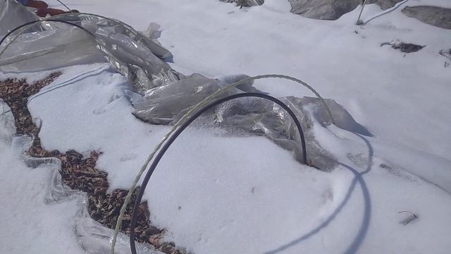 20.04.2023 виноград на улице открою завтра... наверное 🤔