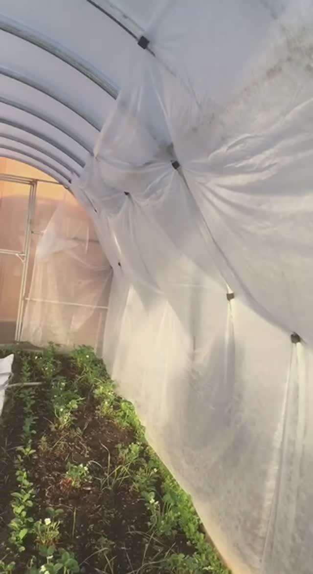 Зажимы из старого шланга для крепления спанбонда смотреть онлайн