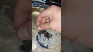 Как почистить хлебопечь😁