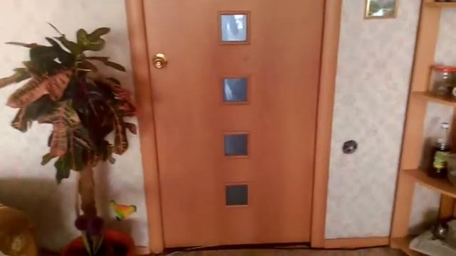 фокусы 7 часть смотреть онлайн