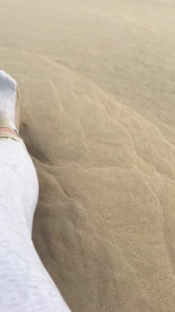 Сыпучие пески в Катаре 🤫 #восток #путешествия #море пу смотреть онлайн