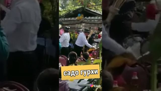 Тепакоргон той