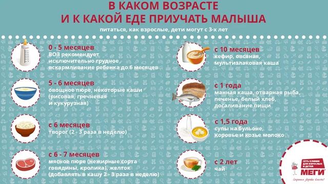 В каком возрасте и к какой еде приучать малыша? смотреть онлайн
