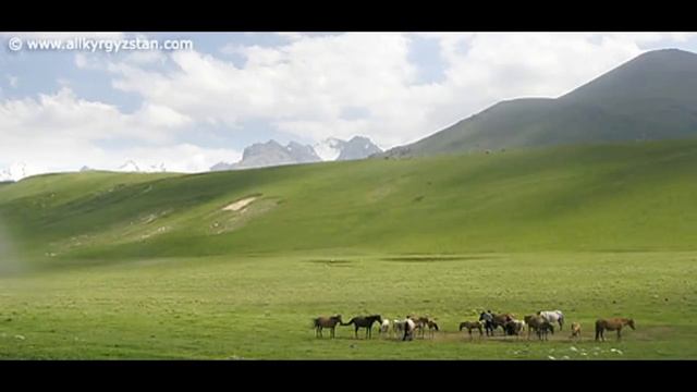 ДЕТКА ЭТО КЫРГЫЗСТАН ГОРЫ 2016 ALTYNHAN-TV смотреть онлайн