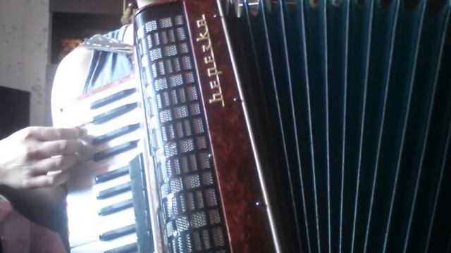 NieR Automata - Vague Hope Cold Rain (accordion cover) на аккордеоне смотреть онлайн