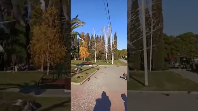 обзорная по Сочи смотреть онлайн