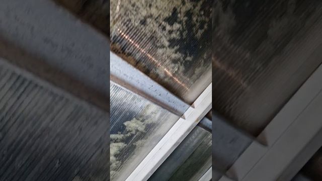 Большая подготовка подземной теплицы для выращивания смотреть онлайн