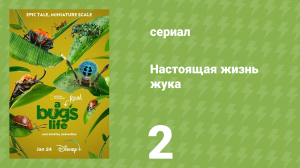 Настоящая жизнь жука 1 сезон 2 серия «Добро пожаловать в джунгли» (документальный сериал, 2024)