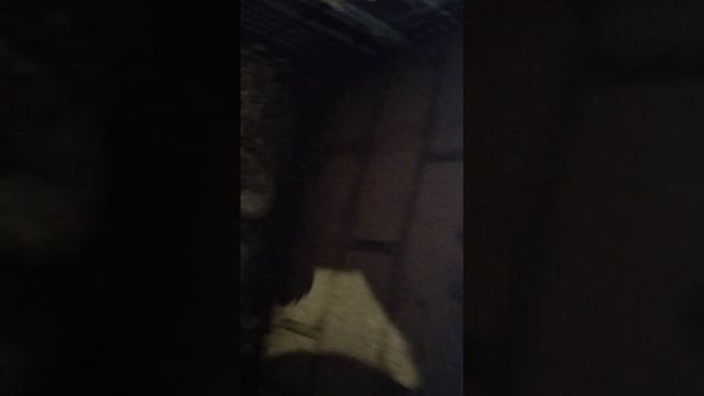 29 мая 2023 г. смотреть онлайн