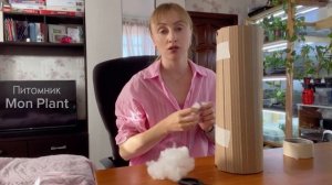Как упаковать комнатное растение для пересылок почто?