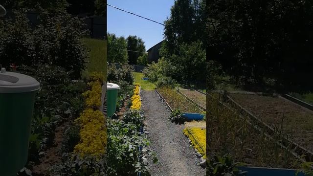 Дача Мира 104.mp4 смотреть онлайн