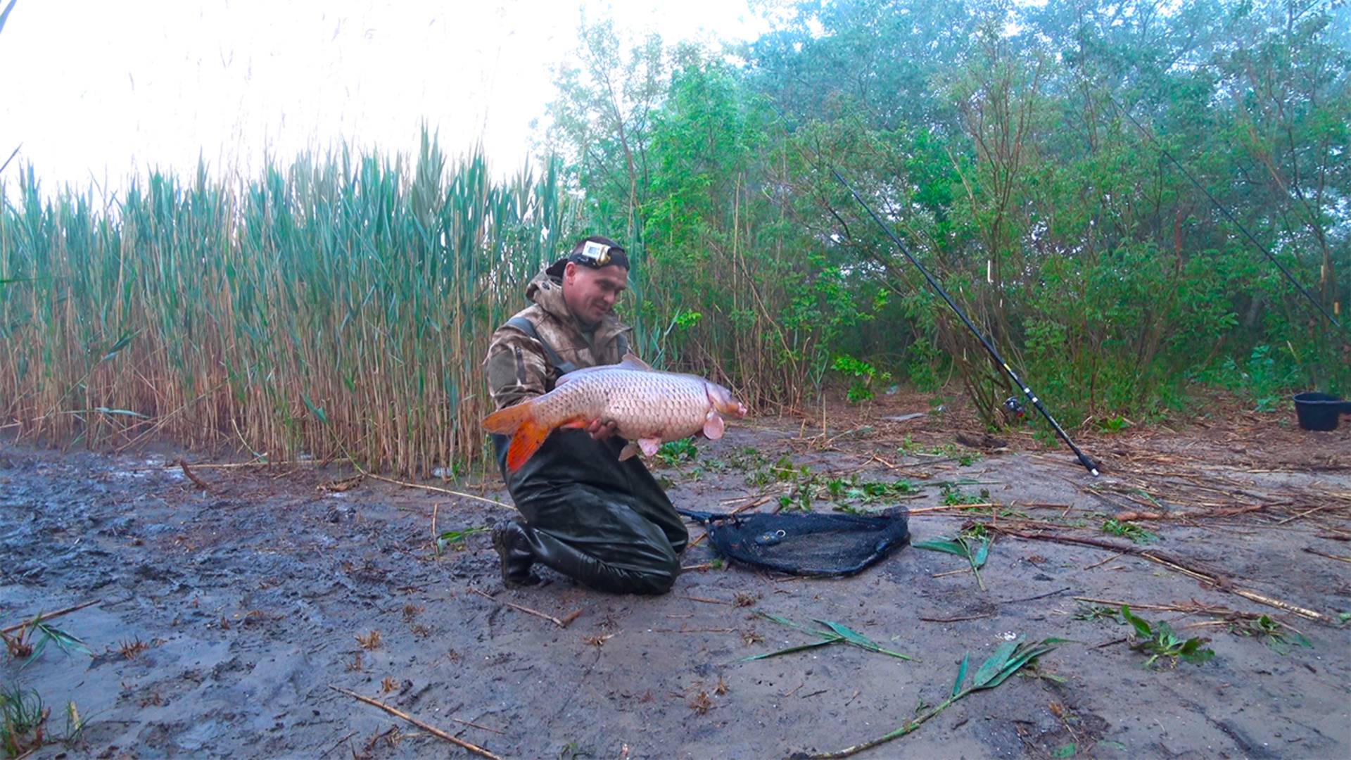 САЗАНЬЯ ЯРОСТЬ, УДОЧКИ В ДУГУ!!! смотреть онлайн