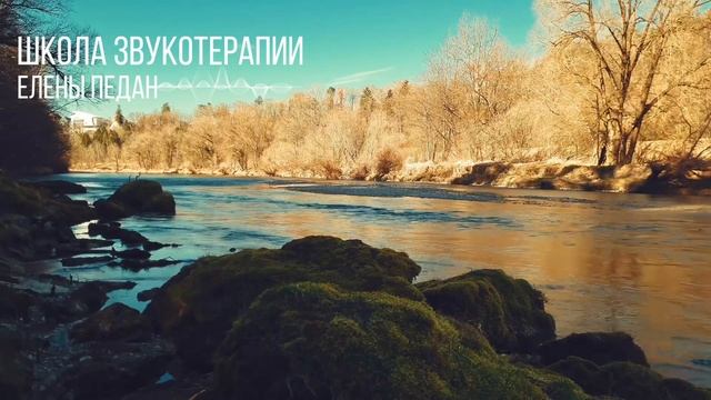 Родовые программы смотреть онлайн