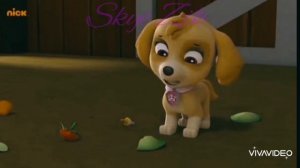 😓Маршалл и Эверест 😓,😓 Гонщик и Скай😓(Я люблю тебя давно)~Для канала Хулиган~