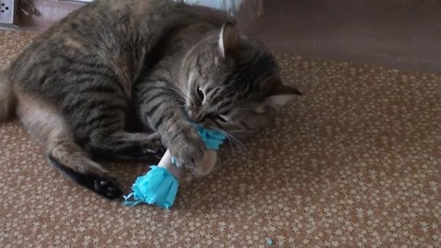 Игрушка-шуршалка для кошки своими руками смотреть онлайн