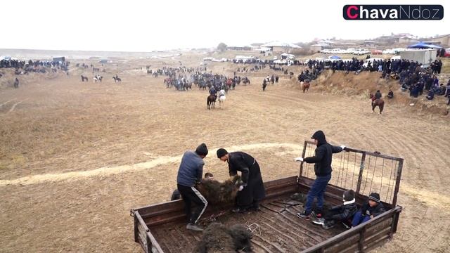 16 11 2022 Mo'minobod Ko'pkari смотреть онлайн