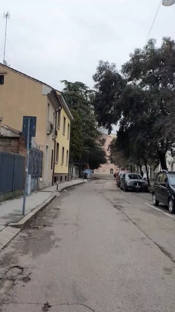 Италия Падуя Жасмин