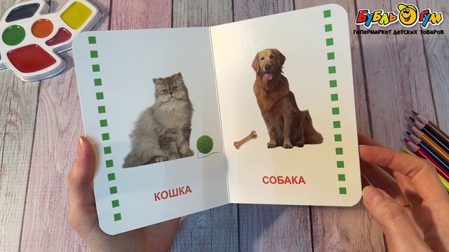 Книжка на картоне  Домашние животные - видео