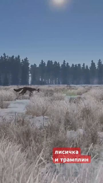 Лисичка #dayz #неудержимые #namalsk #аномальск #shorts смотреть онлайн