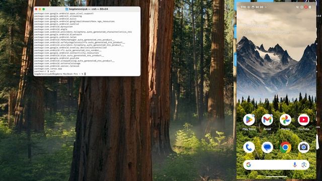 Что такое ADB | Основные команды | тестирование Android | Кур смотреть онлайн