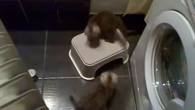 ОСТРОВОК СЧАСТЬЯ смотреть онлайн