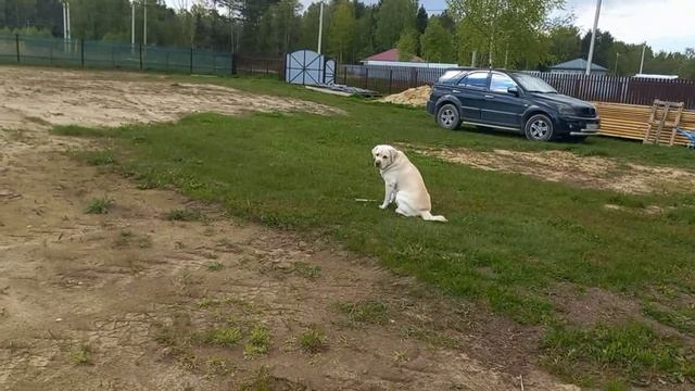 Деревня . Огурцы посажены . чем занималась весь день. смотреть онлайн