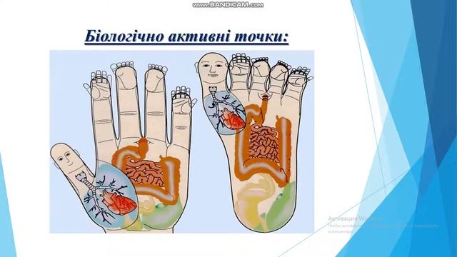 Використання інноваційних технологій у корекції мовленнєвих порушень. смотреть онлайн
