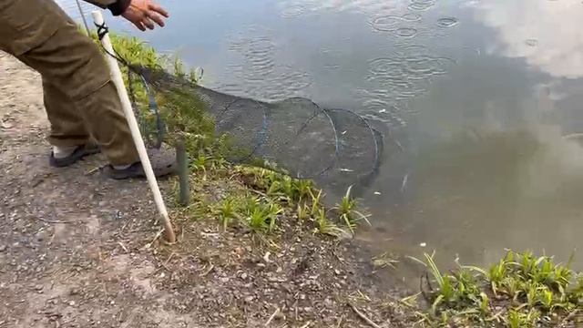 16.05.25 г. РК Волна смотреть онлайн