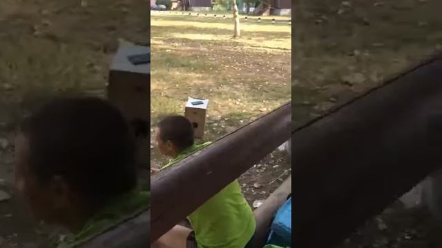 День рождения внучки смотреть онлайн