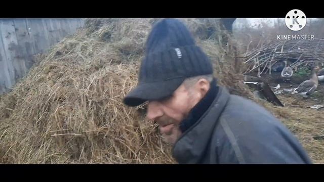 До свидания дед Матвей / Уезжаю домой. смотреть онлайн