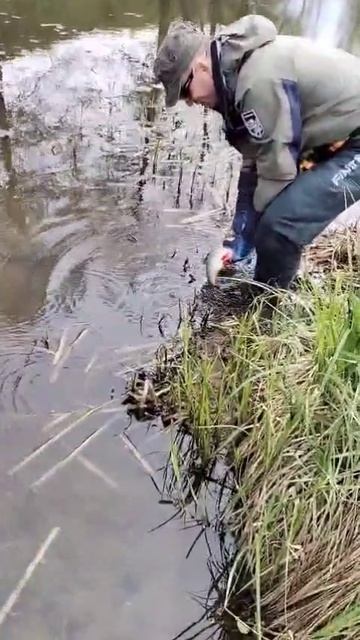 17.05.25г.р.Беспута 🎣 🏕️ ☀️