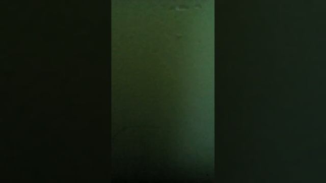 Манчестер сіті виграла реал зідан не випустив бейла і червона карточка на серхіо рамоса