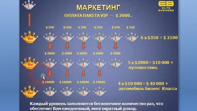 Элит вип программа