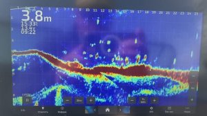 Жерех в Структурнике и в Паноптиксе.