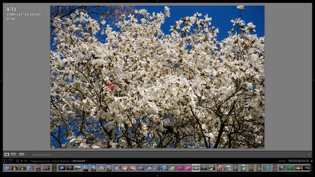 Обзор 7Artisans AF 27/2.8 (X-mount) с примерами фотографий. Также е? смотреть онлайн