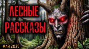 ЛЕСНЫЕ РАССКАЗЫ | Страшные истории