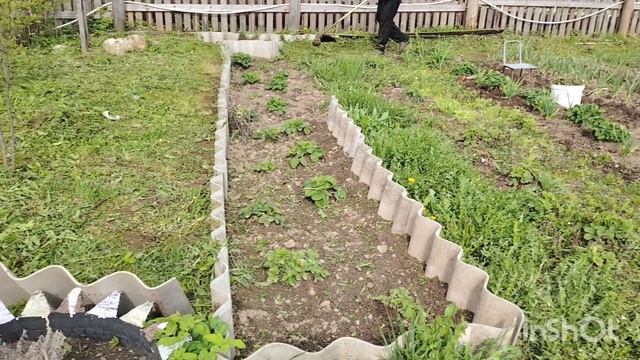 Работа полным ходом на даче🏡 смотреть онлайн