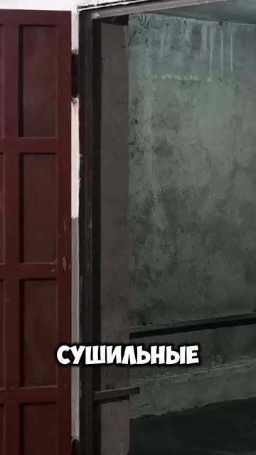 Необычный процесс: как простая древесина превращаетс? смотреть онлайн