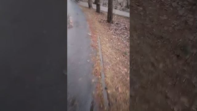 прогулка смотреть онлайн