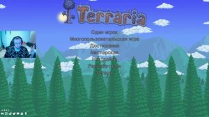 КАК ИГРАТЬ ПО СЕТИ В ИГРУ TERRARIA(ПИРАТКА)? #террария #игры #сеть #terraria #2025