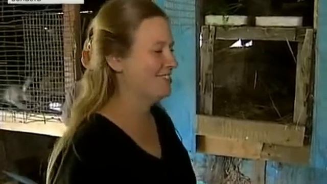 1 канал  Американская семья переехала в Россию