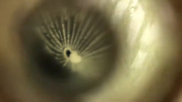 Отзыв! Кулон I love you на 100 языках. Где купить оригинал? смотреть онлайн