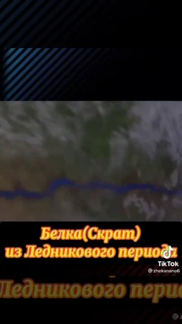 Найден персонаж сильнее Сайтамы #ванпачмен #сайтама #аниме #музыка #приколы #onepatchman #saitama смотреть онлайн