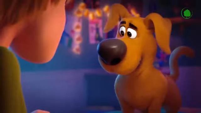 10 признаков , что собака вас любит, и уважает не веришь посмотри!!! смотреть онлайн