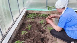 Посадки начались ,домашние дела.