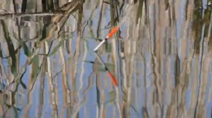 Рыбалка в камыше с лодки на боковой кивок . Ловля осеннего карпа